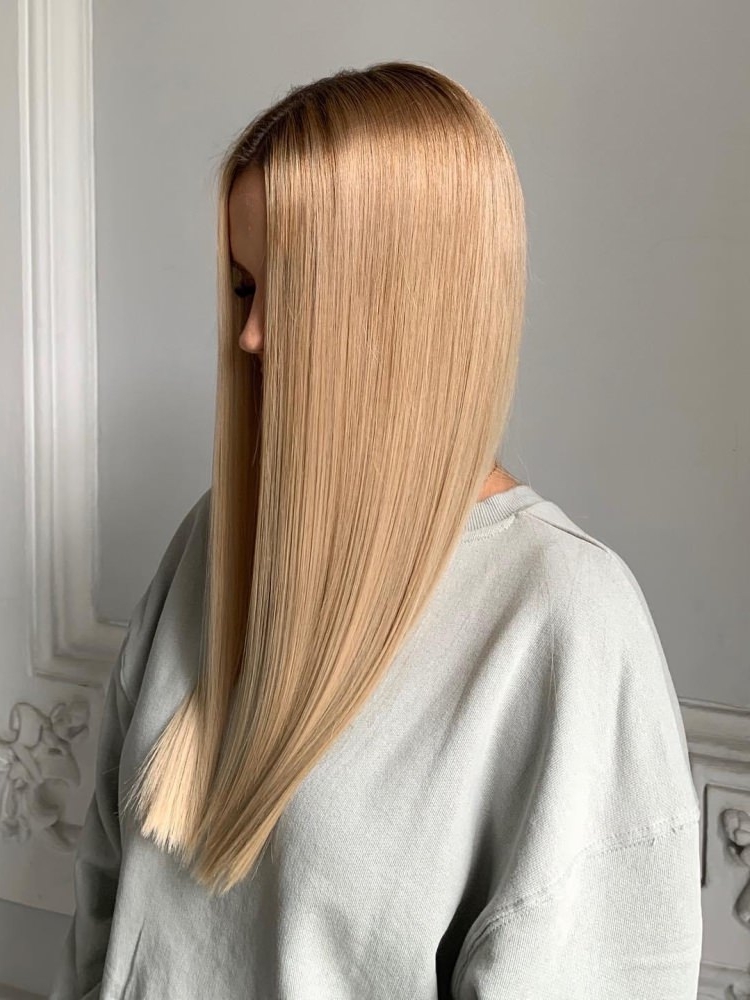 Long, straight light hair, seen from behind
