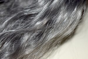 Caring for Grey Hair: How to Look After Its Health and Beautiful Appearance? 